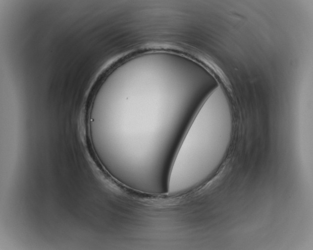 X0000111470984200907131234