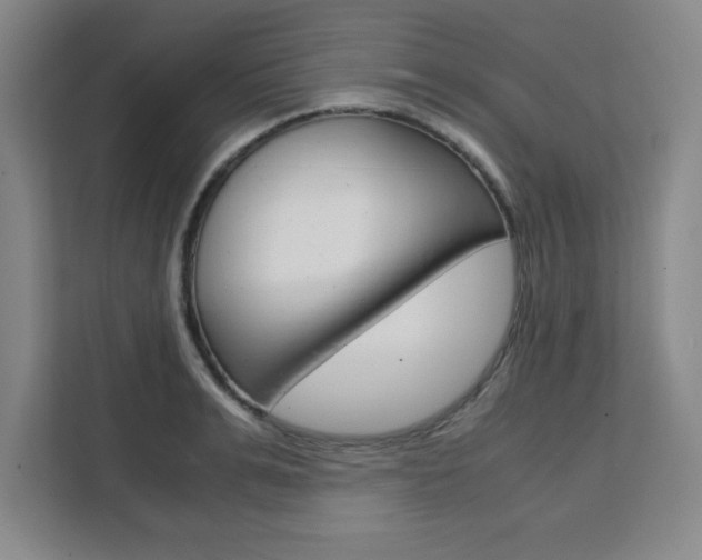 X0000111470991200907131234