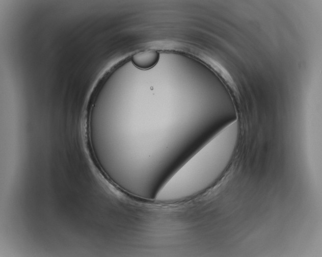 X0000111470992200907131234