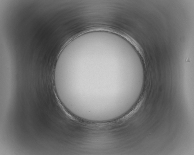 X0000111470993200907131234