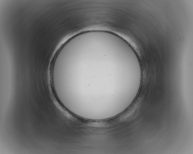 X0000111470998200907131234