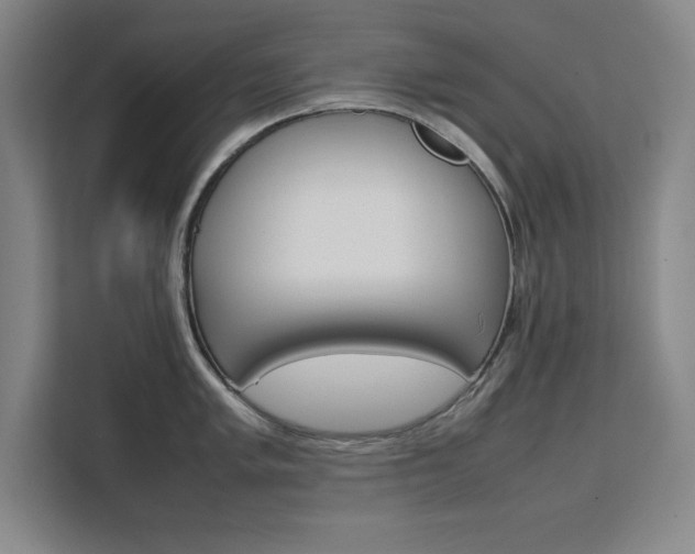 X0000111471005200907131234