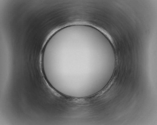 X0000111471006200907131234