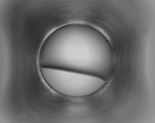 X0000111471007200907131234