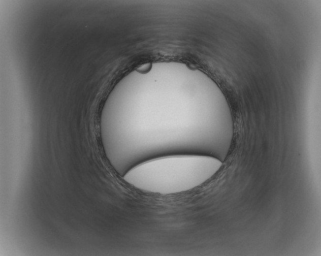 X0000111471009200907131234