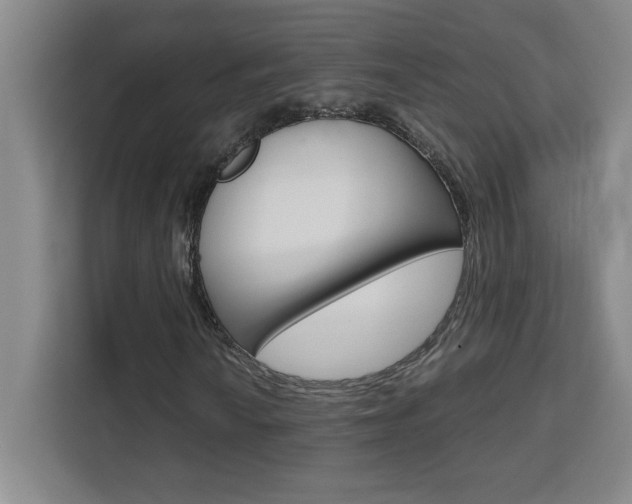 X0000111471010200907131234