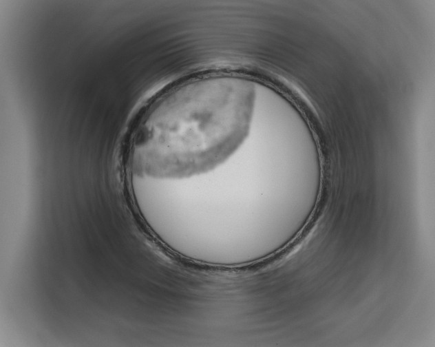 X0000111471018200907131234
