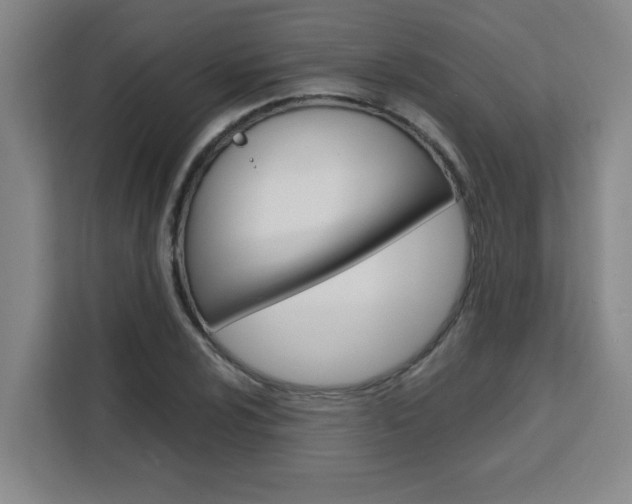 X0000111471024200907131234
