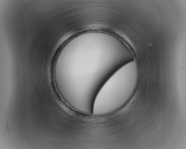 X0000111471026200907131234