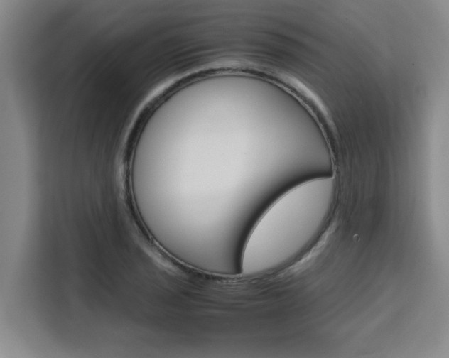 X0000111471029200907131234
