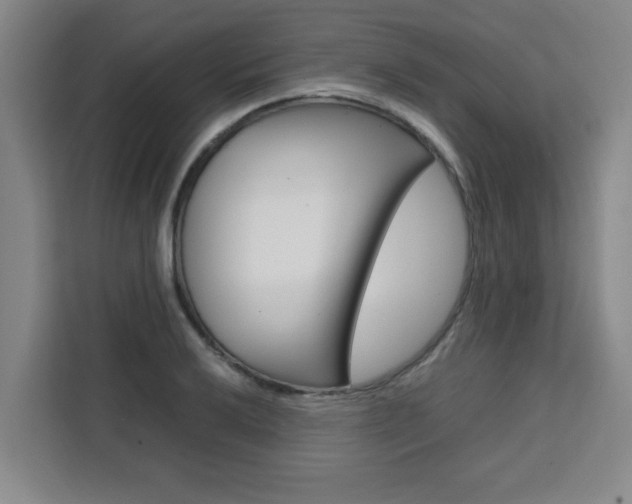 X0000111471032200907131234