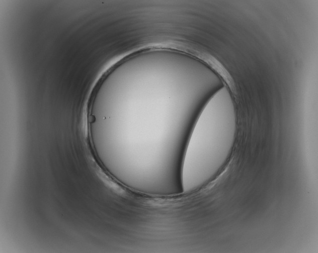 X0000111471036200907131234