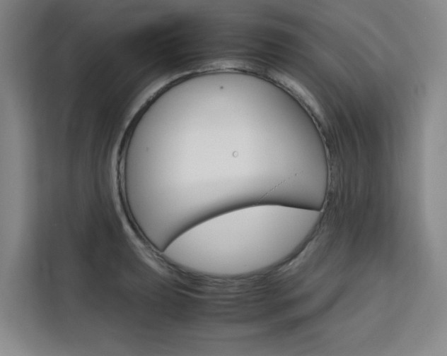 X0000111471039200907131234