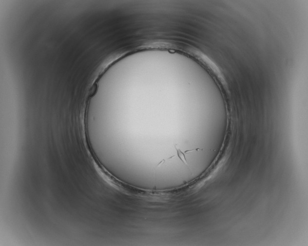 X0000111471041200907131234