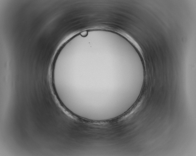 X0000111471053200907131234