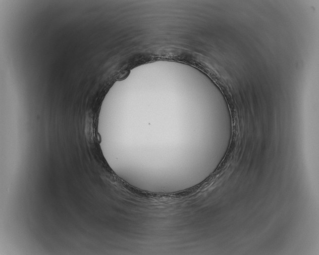 X0000111471058200907131234