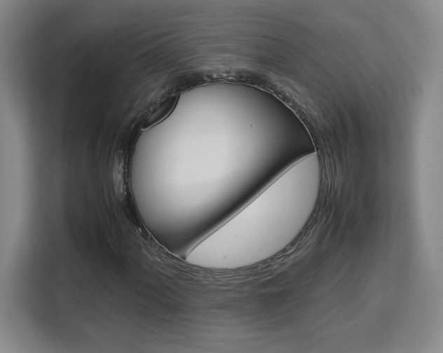 X0000111471060200907131233