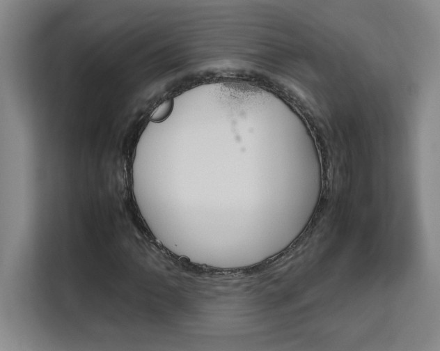 X0000111471062200907131233