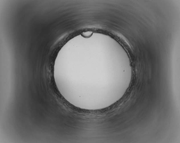 X0000111471064200907131233
