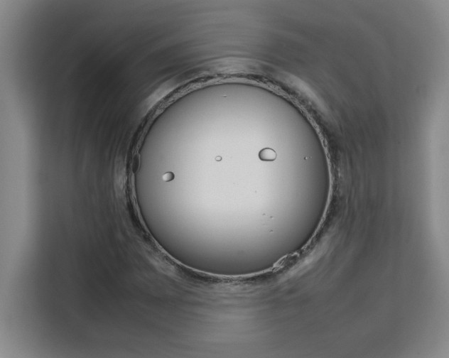 X0000111471065200907131233
