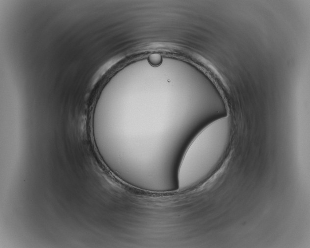 X0000111471066200907131233