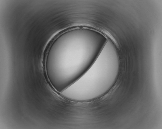 X0000111471068200907131233