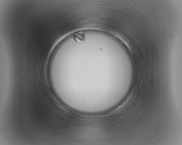 X0000111471069200907131233