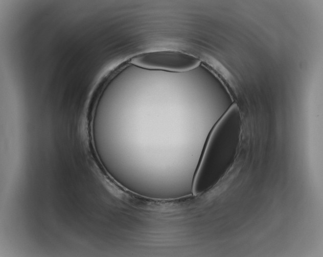 X0000111471072200907131233