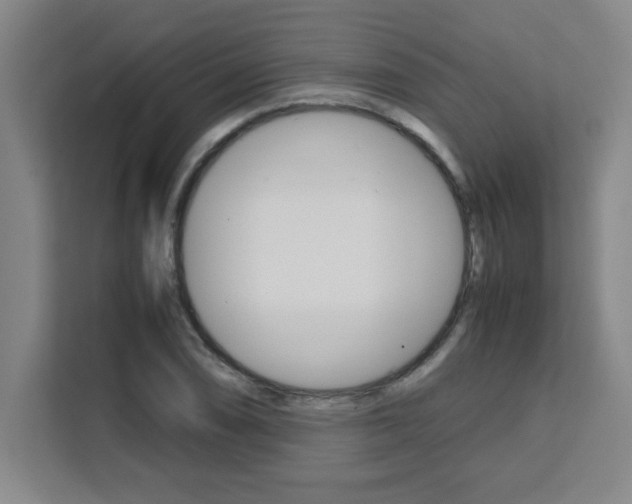 X0000111471074200907131233