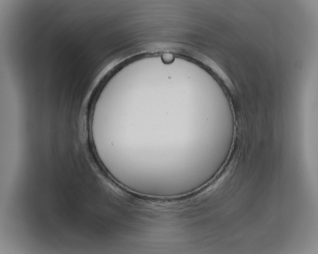 X0000111471075200907131233
