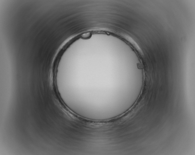 X0000111471076200907131233
