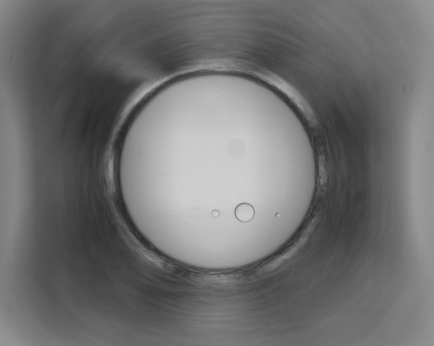 X0000111471078200907131233