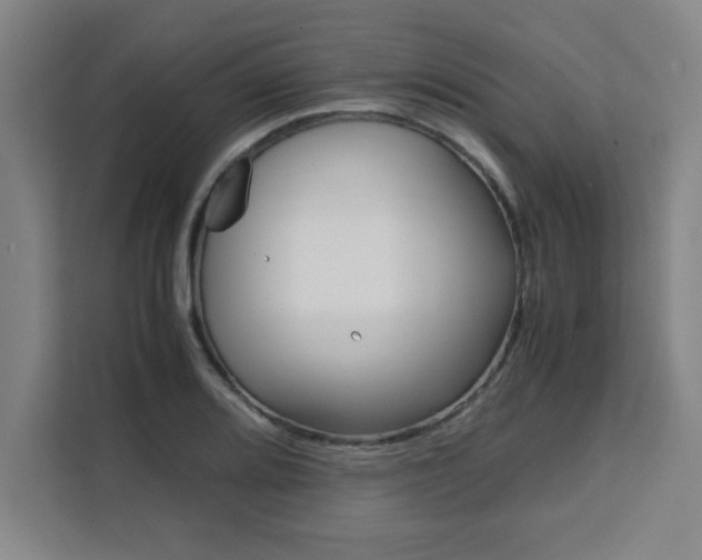 X0000111471080200907131233
