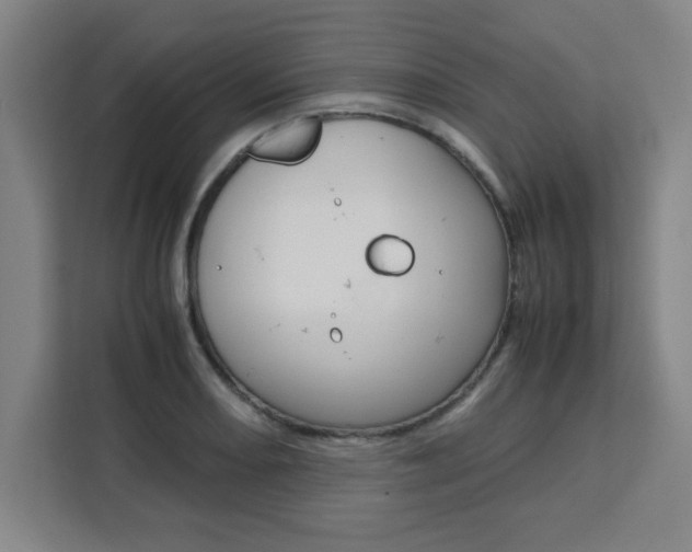 X0000111471082200907131233
