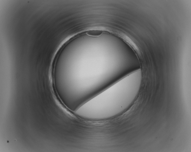 X0000111471084200907131233
