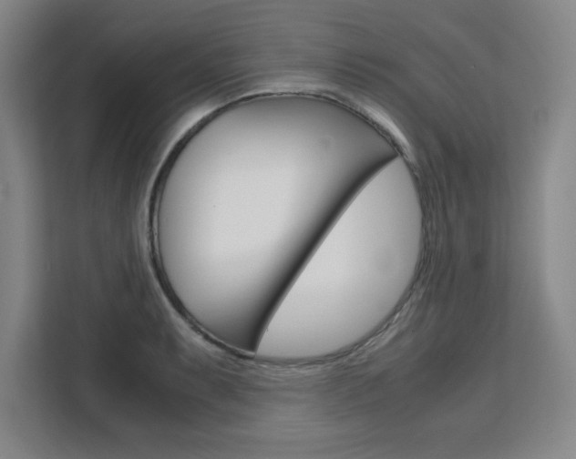 X0000111471087200907131233