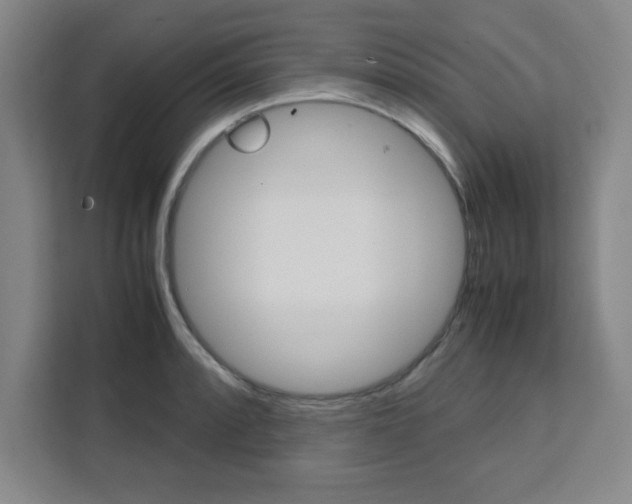 X0000111471088200907131233