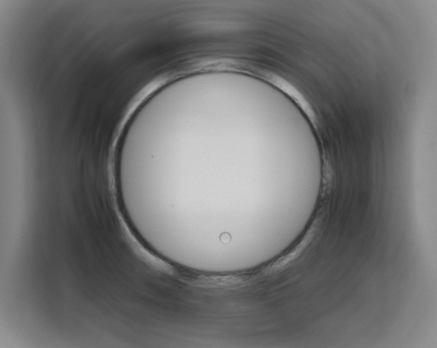 X0000111471090200907131233