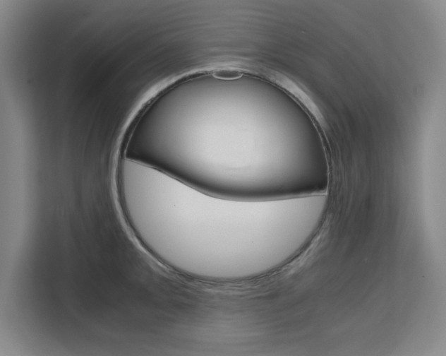 X0000111471093200907131233