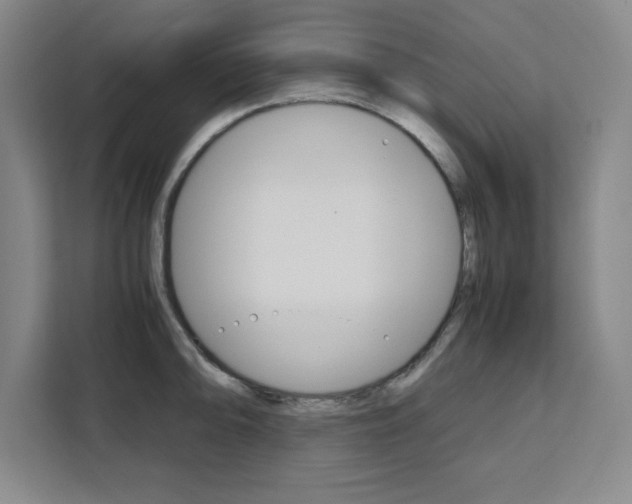 X0000111471094200907131233