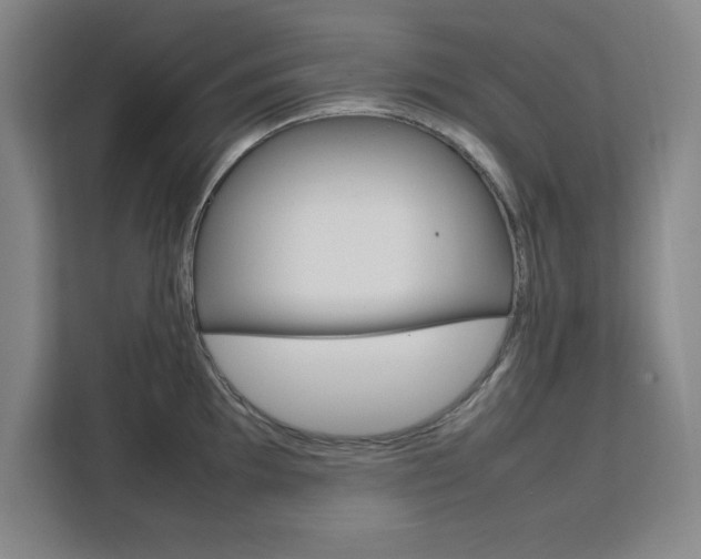 X0000111471097200907131233