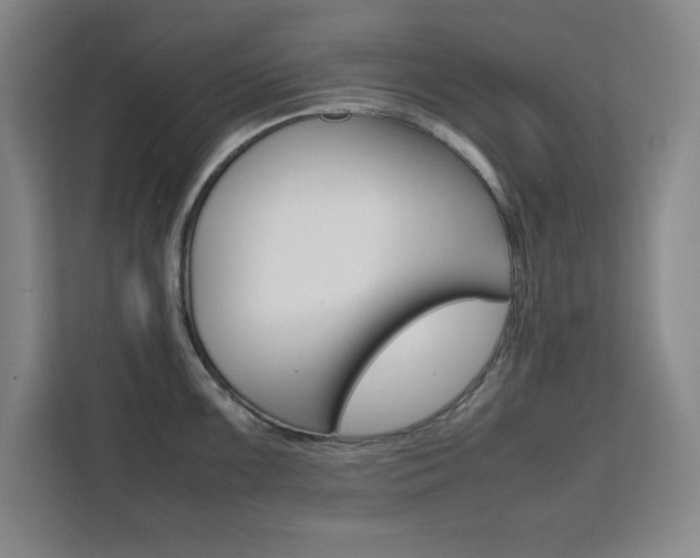 X0000111471099200907131233