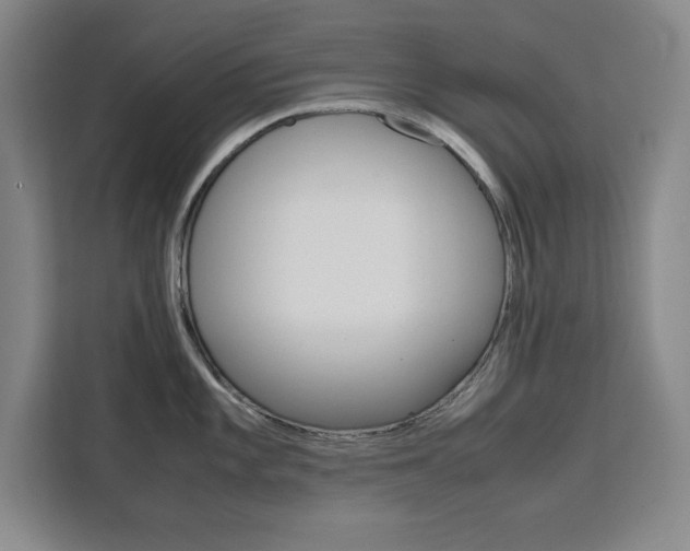 X0000111471101200907131233