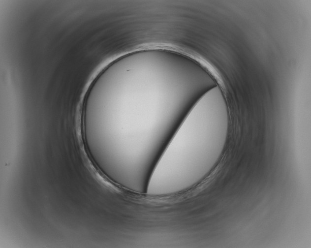 X0000111471102200907131233