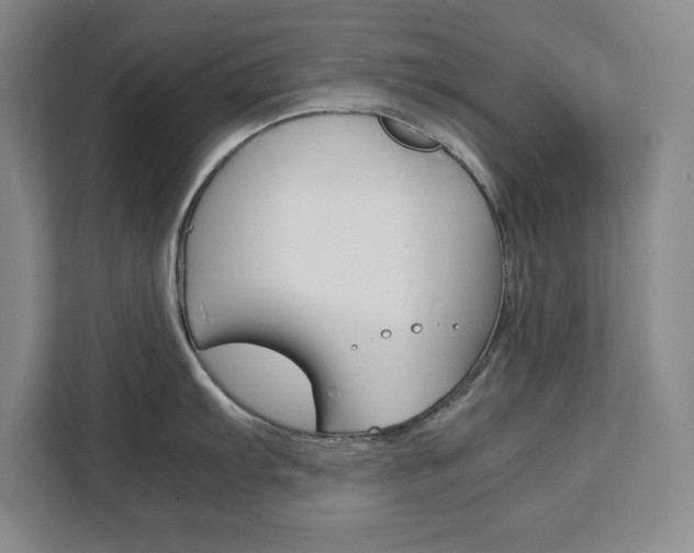 X0000111471103200907131233