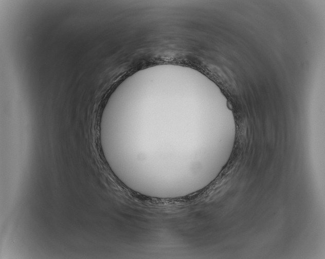 X0000111471105200907131232