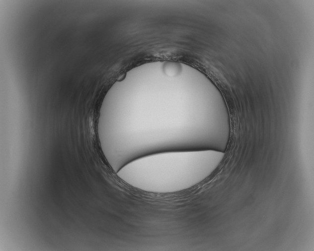 X0000111471106200907131232