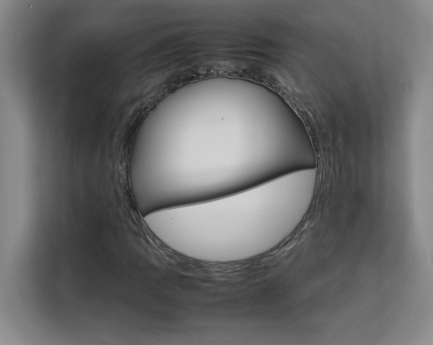 X0000111471109200907131232