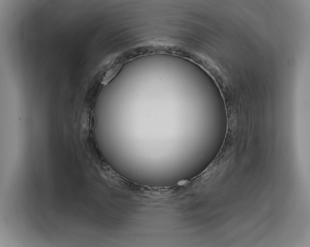 X0000111471110200907131232