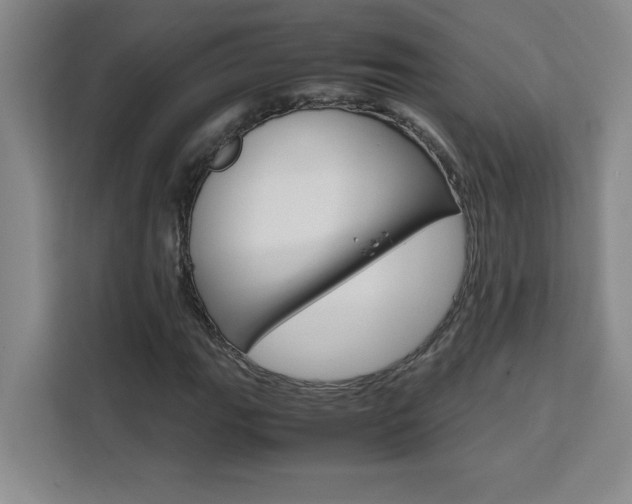 X0000111471111200907131232